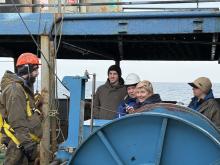 В ожидании отбора (Холмогоров А.О., Леусов А.Э., Кушнир П.Г., Обрезкова М.С., Кустова Е.В.) 