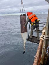  Вертикальный лов зоопланктона