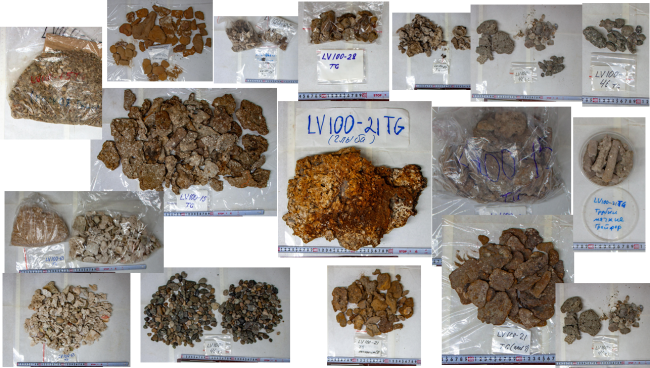 Фотографии примеров геологических образцов, полученных в рейсе № 100 НИС «Академик М.А. Лаврентьев»