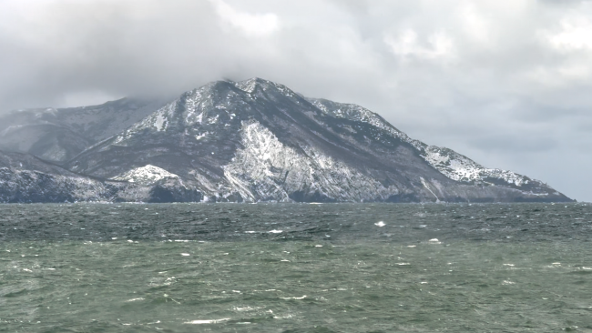 Где-то в Сахалинском заливе. 